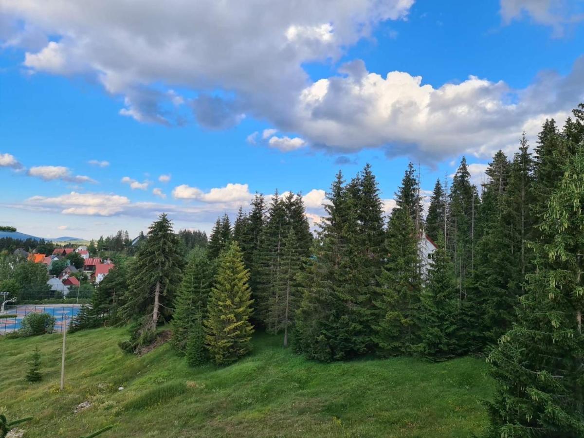 Turisticki Apartmani “Kraljeva Stolica” Žabljak Exterior foto